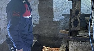 Define avcıları çukurda böyle yakalandı