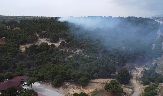 Denizli'de piknik ateşi yangına yol açtı