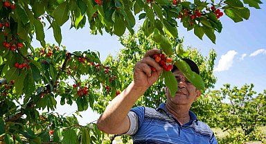 Depremden etkilendi, köyüne geri döndü