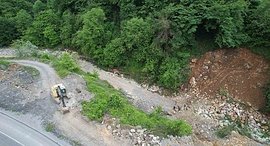 Dere ıslahı çalışmasında bin 183 yaşındaki porsuk ağacını kökünden kestiler