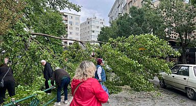 Devrilen ağaç yolu kapattı
