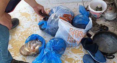 Didim'de kanuna aykırı avlananlar denetime takıldı