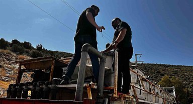 Didim'den Tunus'a 1 milyon çipura yavrusu