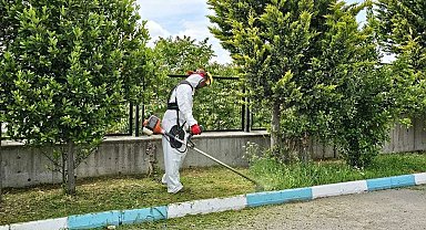 Dilovası'nda yaz temizliği başladı
