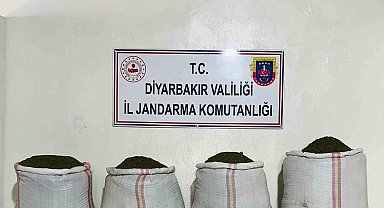 Diyarbakır'da 34 bin 500 kök kenevir ve 112 kilo esrar ele geçirildi