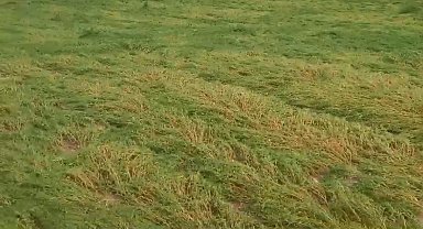 Diyarbakır'da dolu yağışı ekili arazileri vurdu