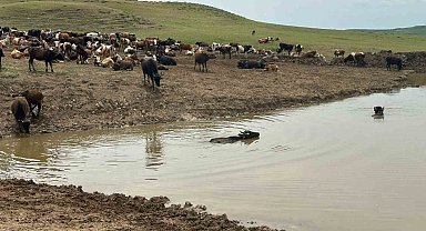 Diyarbakır'da hayvanların içme suyunun karşılandığı göletler onarılıyor