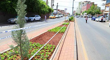 Diyarbakır'da peyzaj çalışmaları sürüyor