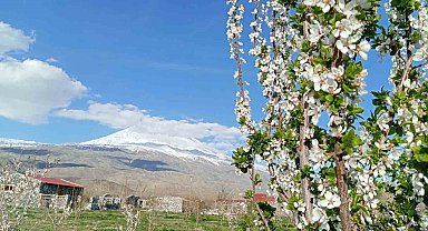 Doğubayazıt'ta 5 bin meyve ağacının bulunduğu bahçe bungalov evleri ile turistleri ağırlıyor