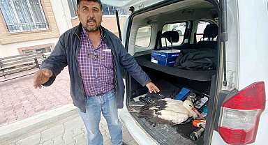 Duyarlı vatandaş yaralı leyleği arazide bırakmadı, ilçeye götürdü