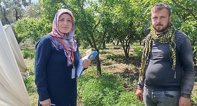 Efeler İlçe ve Tarım Orman Müdürlüğü anket çalışmalarını tamamladı