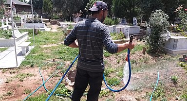 Efeler'de mezarlıklar temizleniyor