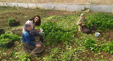 Eskişehir'de sağlıklı tarımsal üretim çalışmaları devam ediyor