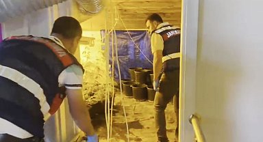 Ev değil uyuşturucu serası