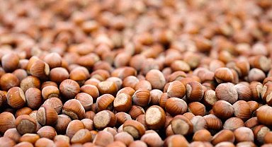 Ferrero Grubu'ndan hedeflerine ulaşma noktasında önemli ilerleme