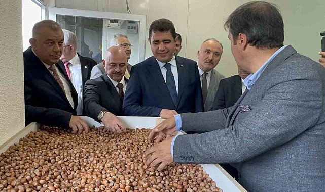 Fındığın ekonomik değeri artacak