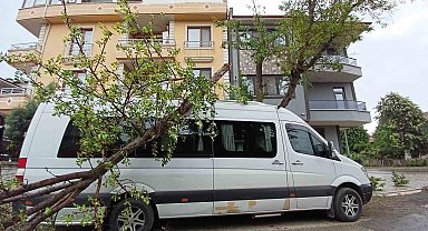 Fırtına ağaçları devirdi, 2 araç ağaçların altında kaldı