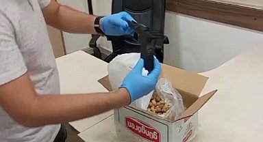 Fıstık kutusunda sakladıkları silahlarla yakalanmışlardı, tutuklandılar