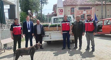 Gediz'de üreticilere yüzde 50 hibeli 26 bin 780 kök biber ve domates fidesi