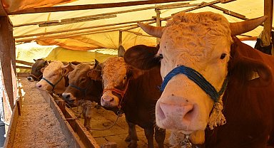 Gemlik'te kurban pazarlarına düzenleme