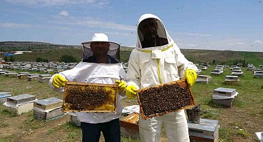 Gezgin arıcılar zengin floralı Bozok Yaylası'nı tercih ediyor