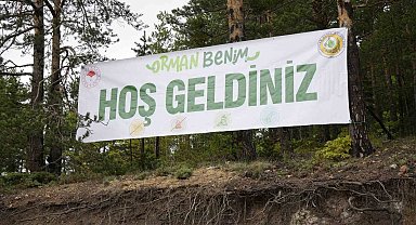 Gümüşhane'de 'Orman Benim' etkinliğinde ormanda temizlik