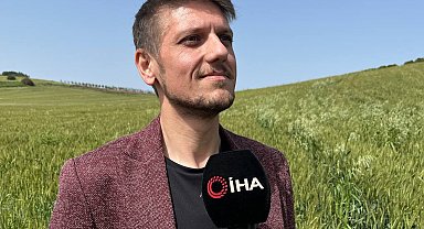 Güney Marmara'da bu yıl tarımda verim yüksek