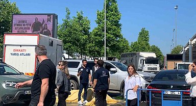 Güzellik yarışmasında at kalp krizi geçirerek öldü