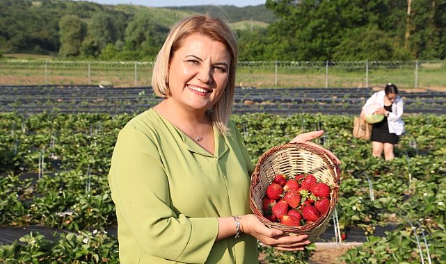 Hasadı yapılacaktı, belediyeye hırsızlık şoku