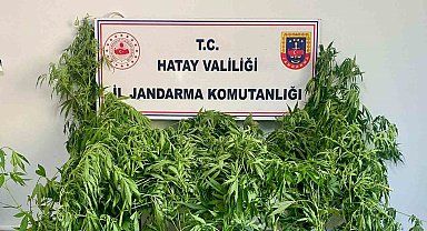 Hassas burunlu jandarma köpeğinin uyuşturucu bulduğu anlar kamerada