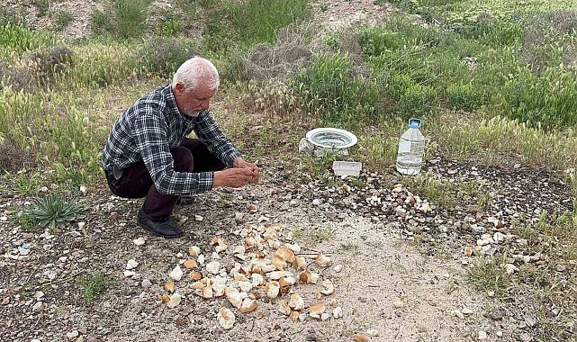 Hayvanları besleyen ayakkabı tamircisini Cumhurbaşkanı Erdoğan Külliye'de ağırlayacak
