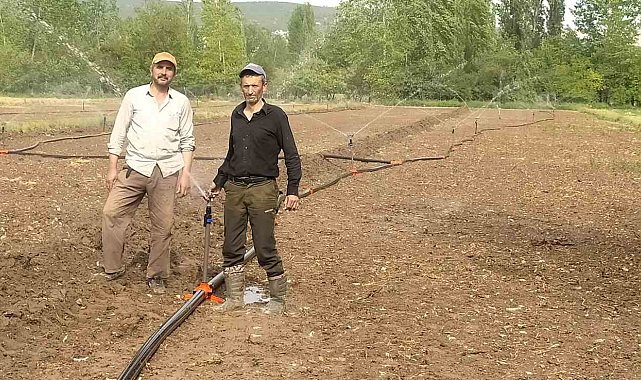 Hisarcık'ta kuraklık pancar üreticisini vurdu