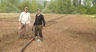 Hisarcık'ta kuraklık pancar üreticisini vurdu