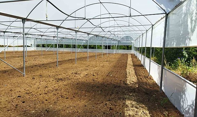 İl Tarım ve Orman Müdürlüğü Kırsal kalkınma destekleri sonuçlarını açıkladı