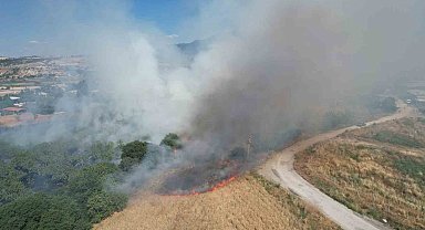 İncir bahçesindeki yangın korkuya neden oldu