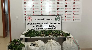 İran uyruklu 1 kişiye biyoçeşitliliği tahripten toplam 387 bin 141 lira ceza verildi