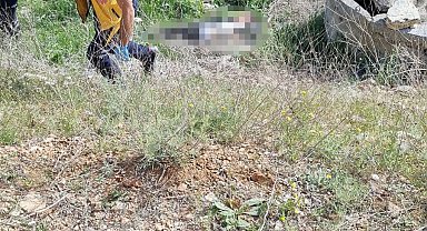 Isparta'da motosiklet şarampole yuvarlandı: 1 ölü, 1 yaralı