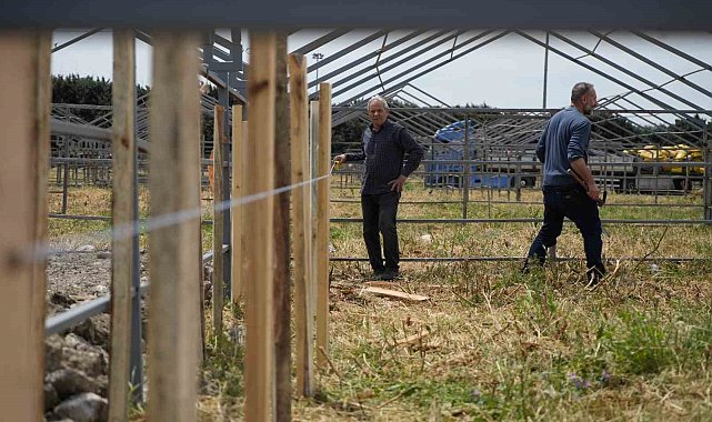 İstanbul'da Kurban bayramı hazırlığı başladı