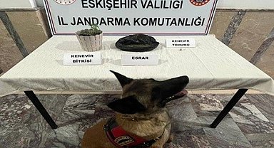 Jandarma ekiplerinden 4 ayrı uyuşturucu operasyonu