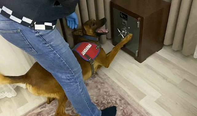 Jandarmadan 1 milyonluk uyuşturucu operasyonu