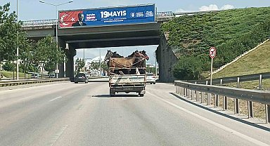 Kamyonetin kasasına 5 adet at sığdırdı