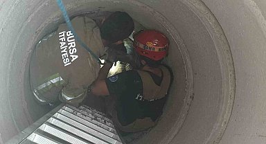 Kapağı açık rögara düşen küçükbaş hayvanı itfaiye kurtardı