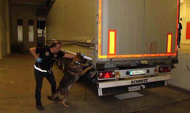 Kapıkule'de uyuşturucu operasyonu: 370 kilogram esrar ele geçirildi