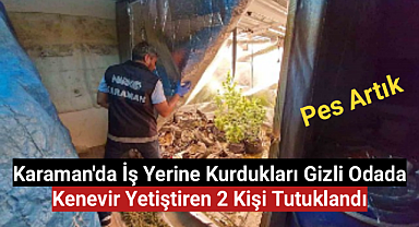 Karaman'da iş yerine kurdukları gizli odada kenevir yetiştiren 2 kişi tutuklandı