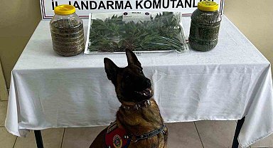 Karaman'da uyuşturucu operasyonu: 1 tutuklama