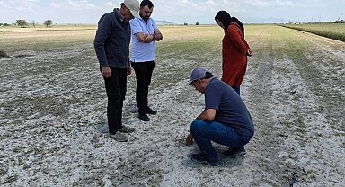 Karapınar'da tarım arazilerinde hasar tespit çalışmaları sürüyor