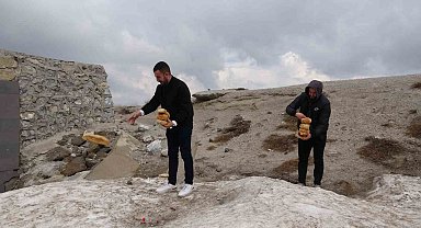 Karla kaplı Nemrut'taki yabani hayvanlar unutulmadı