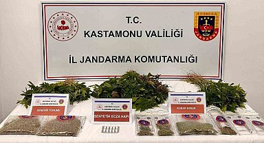 Kastamonu'da 371 kök kenevir ele geçirildi: 1 tutuklama