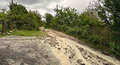 Kastamonu'da dolu yağışı etkili oldu