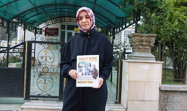 Kaybolan kedisini bulana para ödülü verecek
